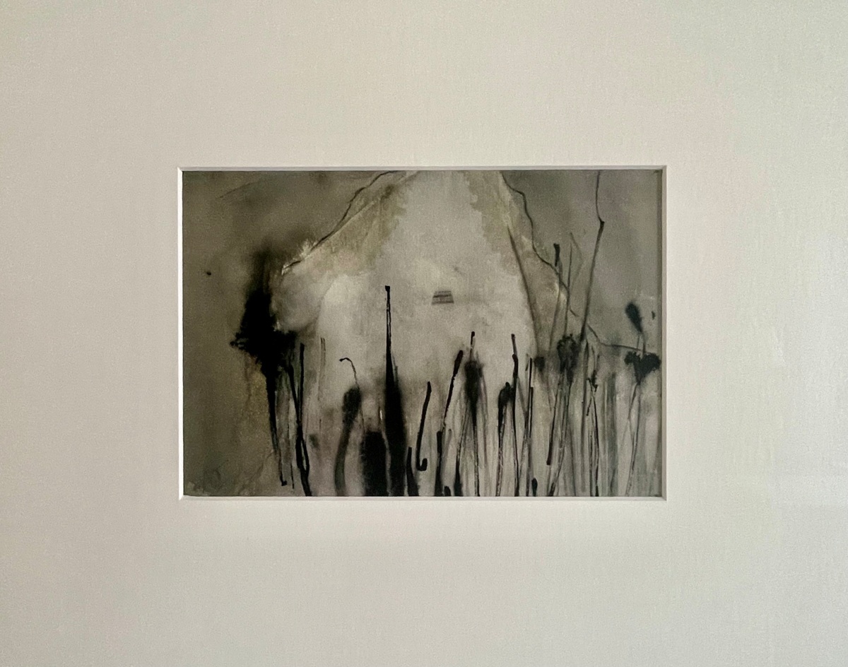 Boerenland, waterverf, inkt op papier, 22x15cm, 2026